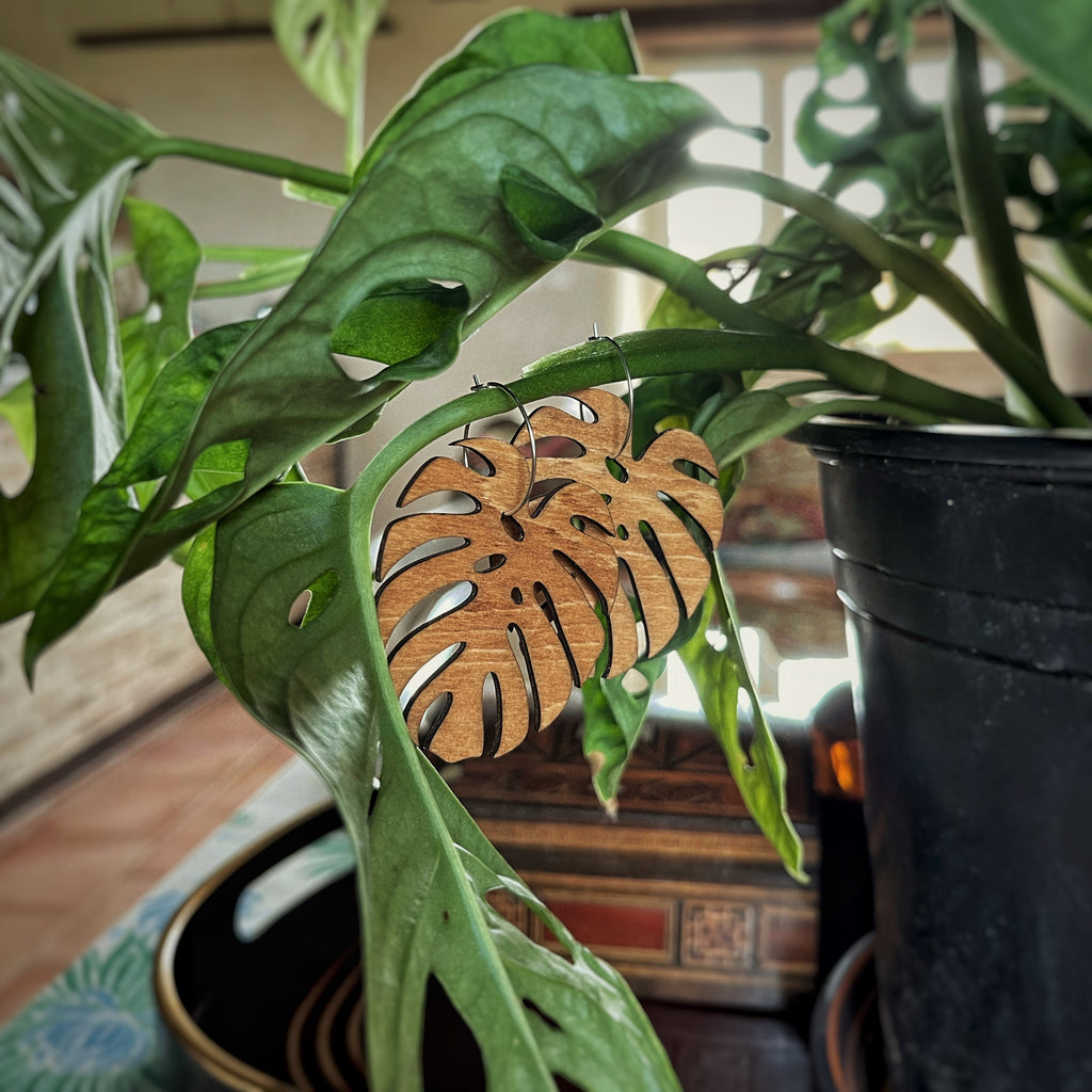 Boucles d’oreilles pendantes - Monstera deliciosa